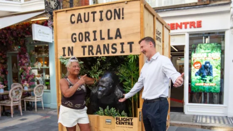 Gorilla